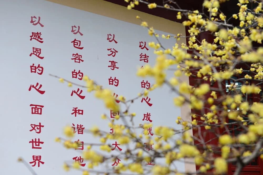 ��ѡ����֪ʶ�������ϣ�˭���������˭ѧ����������