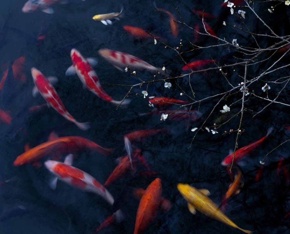 ʲô�ǻ�ͷ��һ��δ��֮ǰ����һ��