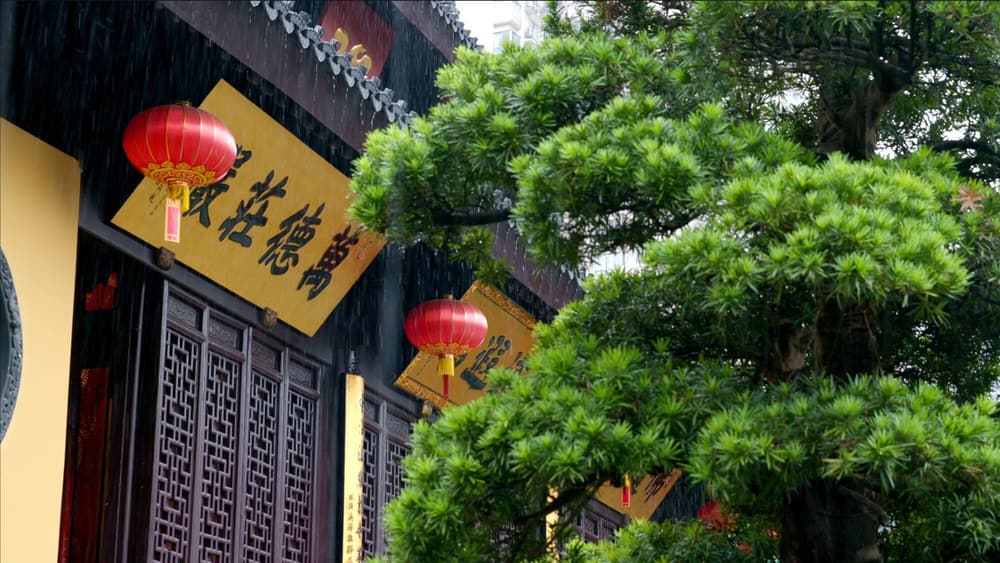 带相观空,文以载道