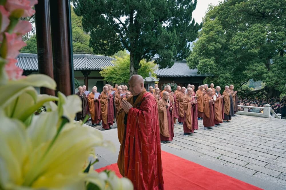 每一个念头里,都藏着这五个默认设置